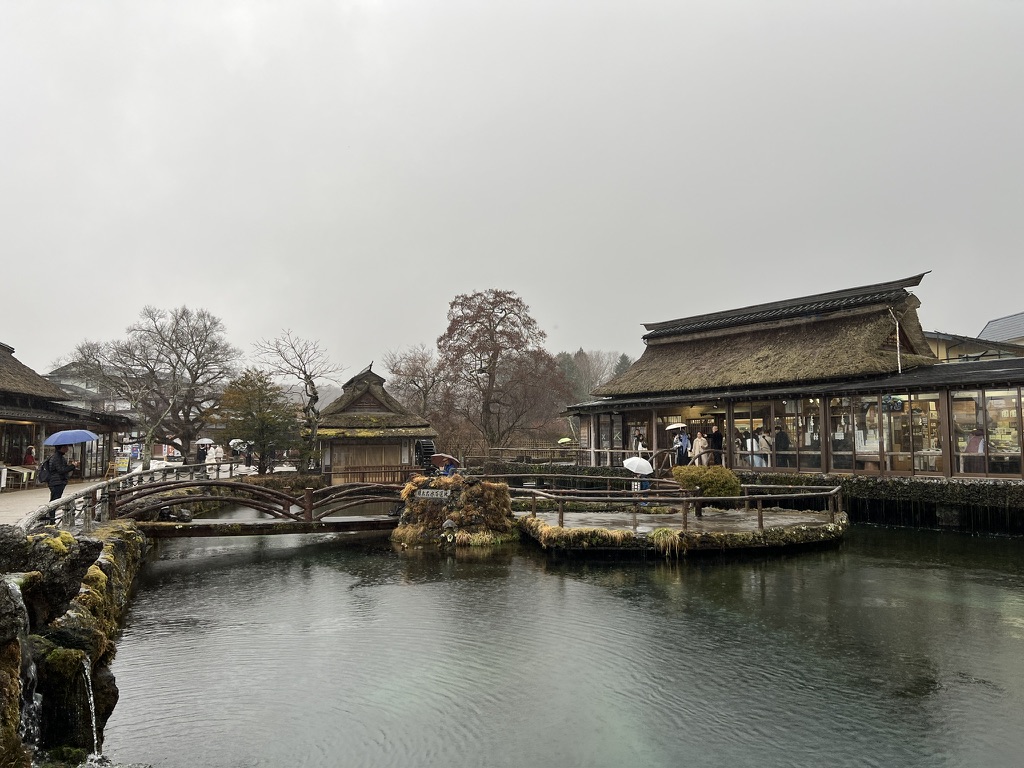 93A24339-D9EE-405C-82D7-635E85238672_1_105_c.jpeg