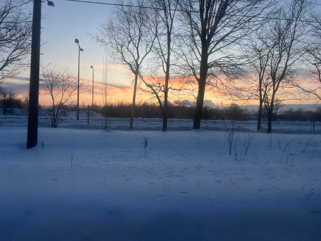 IMG_8505.jpeg